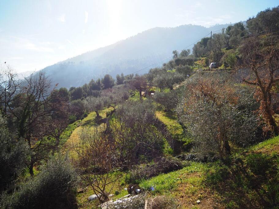 Bas De Villa Au Milieu Des Oliviers. Chateauneuf-Villevieille ภายนอก รูปภาพ